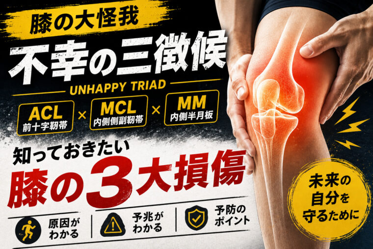 ❃†Unhappy Triad†❃｜༺前十字靭帯・内側側副靭帯・内側半月板༻