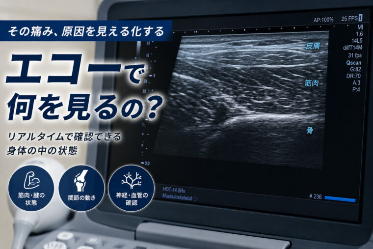 エコーって何見るの？