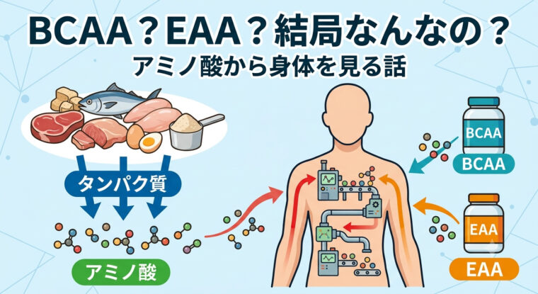 BCAAとEAA