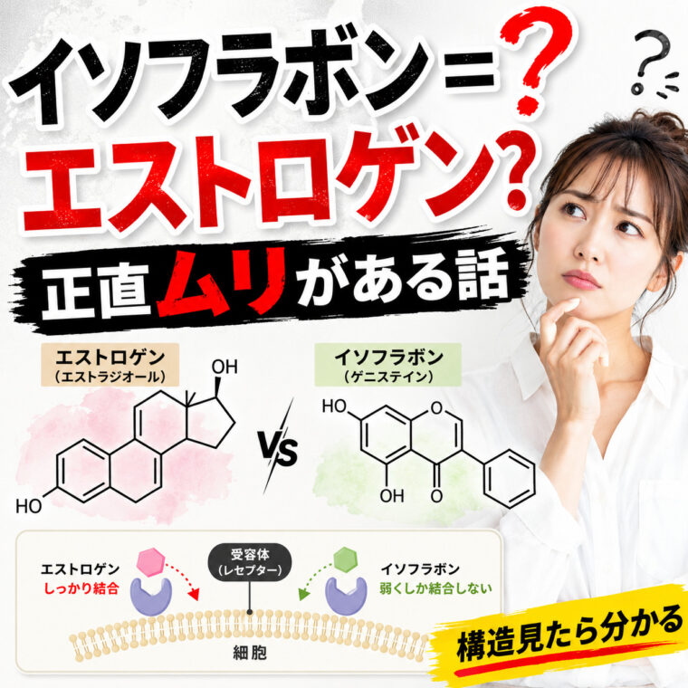 イソフラボンが女性ホルモンになる！？