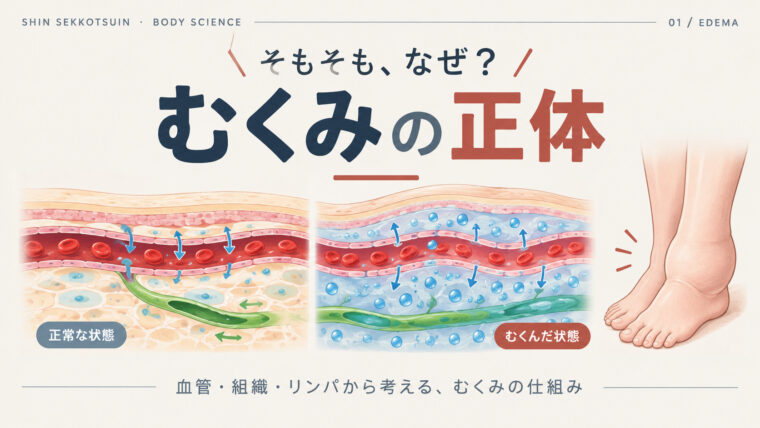 むくみの話